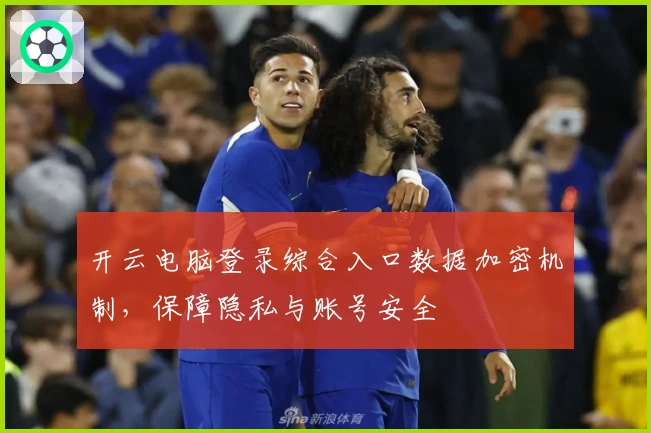 开云电脑登录综合入口数据加密机制,保障隐私与账号安全