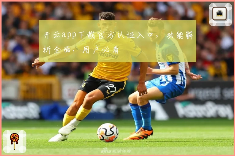 开云app下载官方认证入口，功能解析全面，用户必看